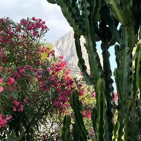 Almendros Con Piscina Privada