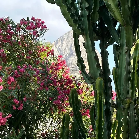 Almendros Con Piscina Privada Vakantiehuis *