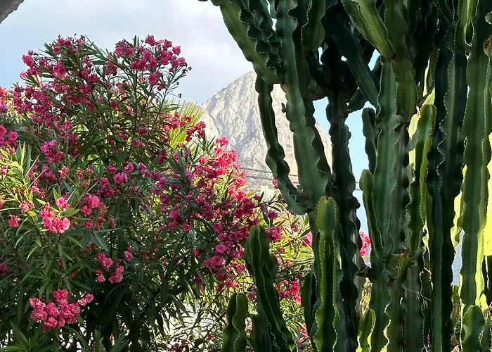 Almendros Con Piscina Privada Holiday home *